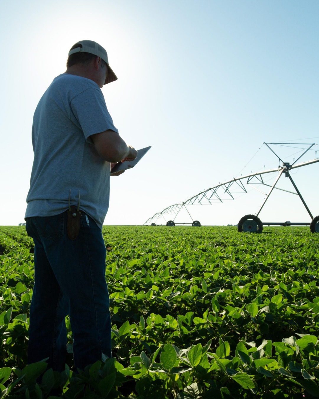 Farmer checking irrigation data on a tablet beside a centre pivot in a crop paddock