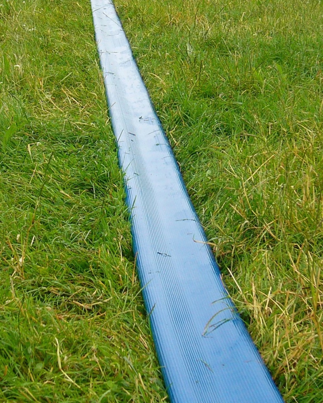 Blue layflat irrigation hose laid out across a pasture paddock